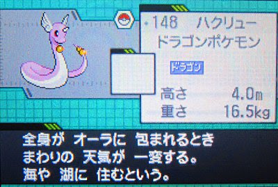 テトのひだまり日記 色違いハクリュー カイリュー