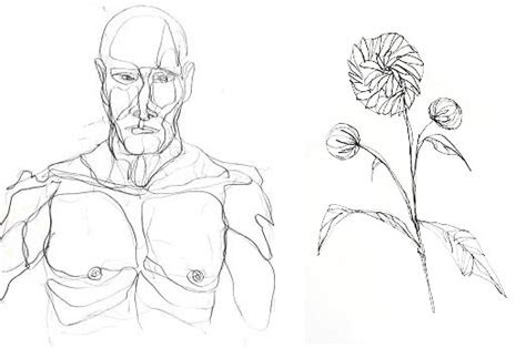 drawing exercises   artist  practice