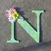 letter n