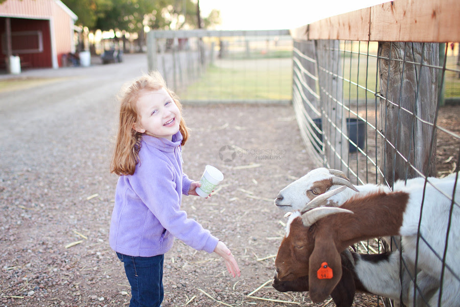 2012 pumpkin patch20