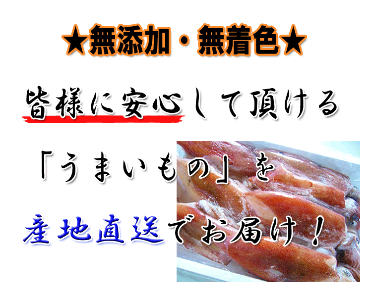 隠岐ノ島産 冷凍白イカ 刺身用 1 0kg 都道府県別 食品 飲料 Ji Mall 日本製を買って 日本を元気にしよう宣言