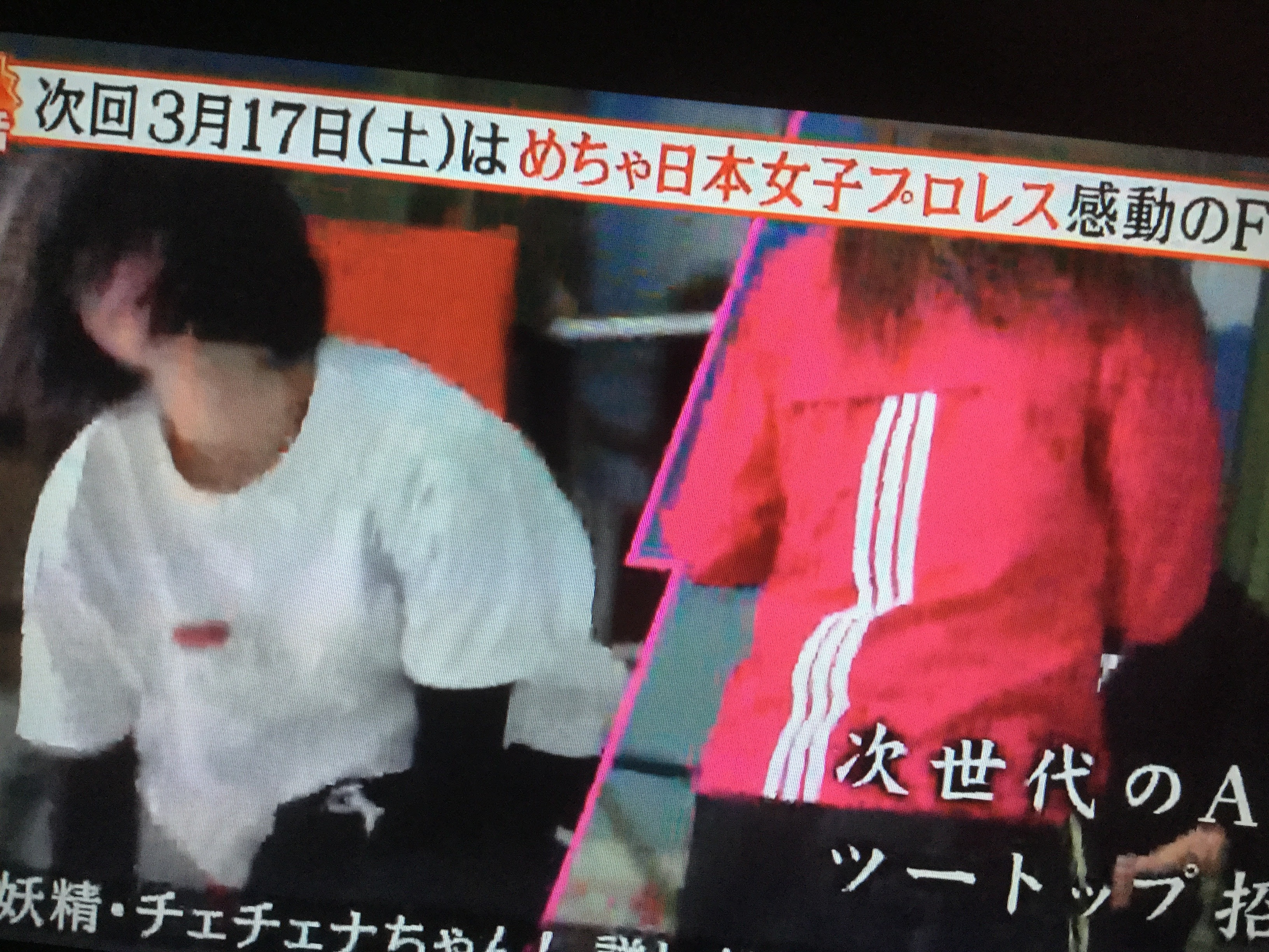 次回 めちゃ 2イケてるッ は めちゃ日本女子プロレス ファイナル 対戦相手はakb48 事実上の めちゃ女vs豆腐プロレス 対抗戦 プロレス専門ブログ ブラックアイ3