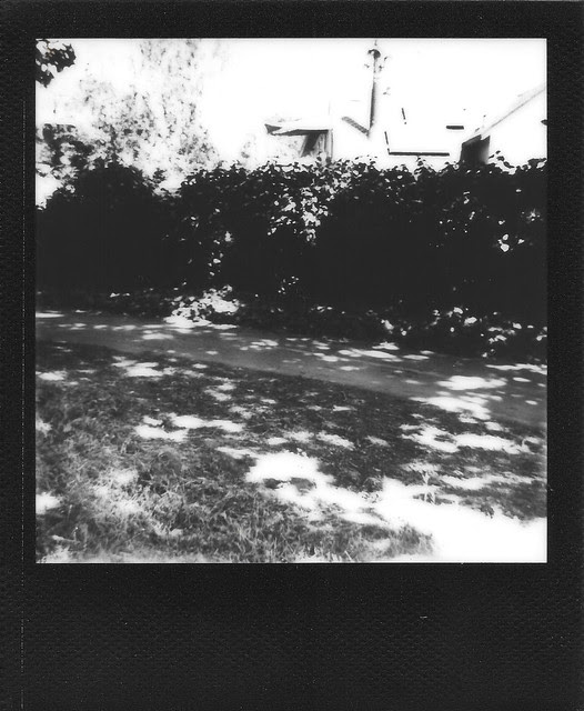 Path.