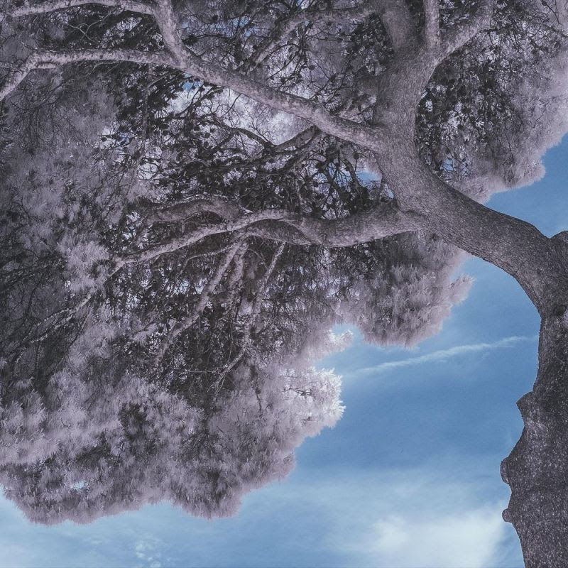 صور طبيعية خيالية 