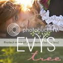 Evys Tree