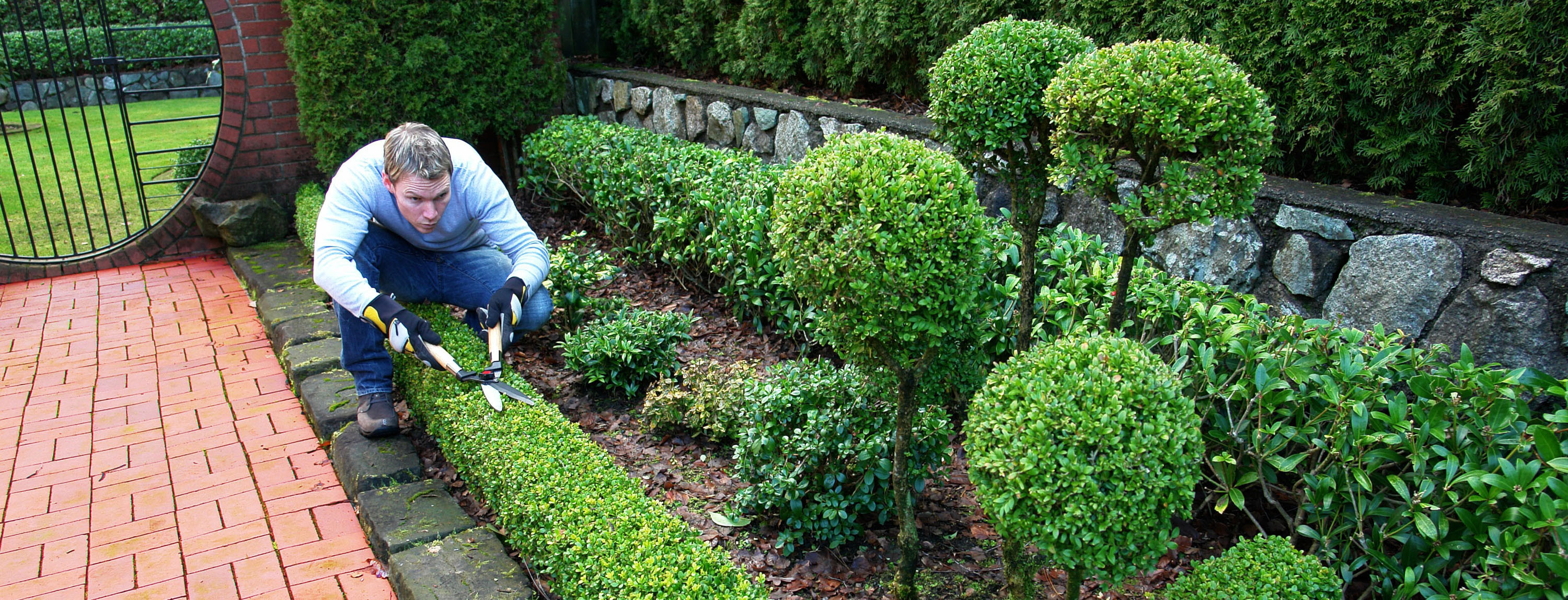 Lawn Services| Landscaping | Miami Lawn Services