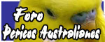 width=