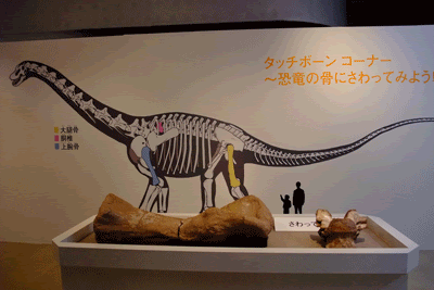 大恐竜展 恐竜の骨 本物 三浦忠夫 私の創作日記 私の映画日記