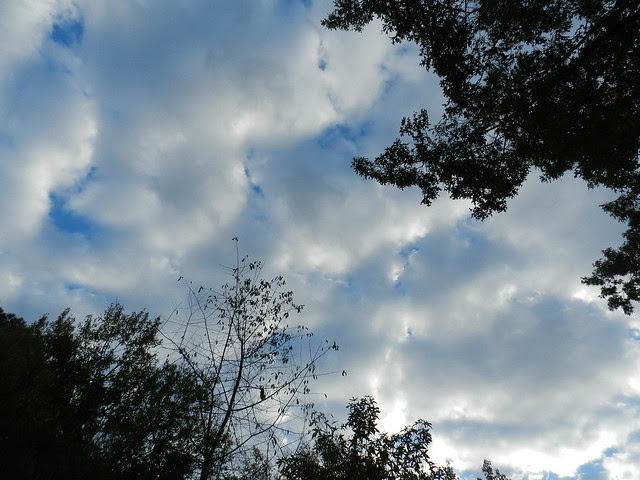 skywatfDSCN7735