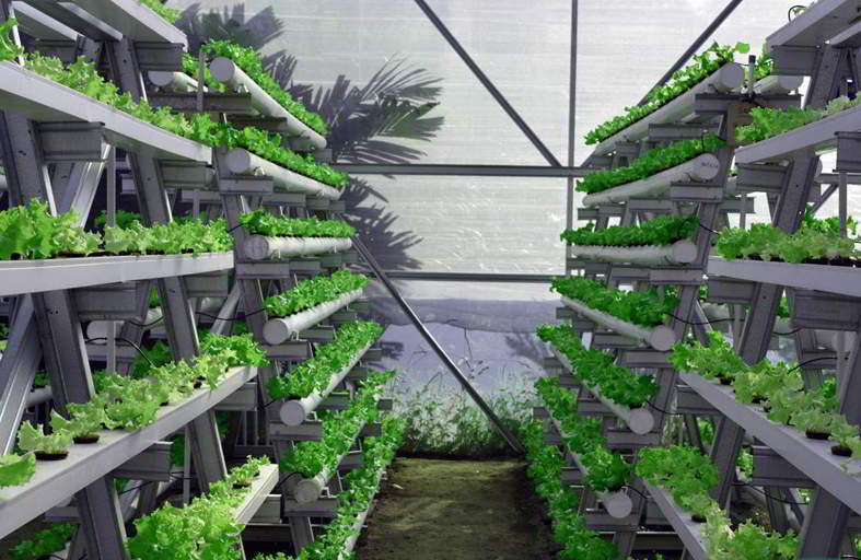 Vertical Garden Cara Bercocok Tanam Dengan Teknik Vertical Garden Cara Bercocok Tanam Dengan Teknik