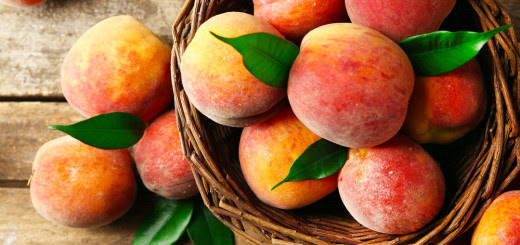 shutterstock_297863489