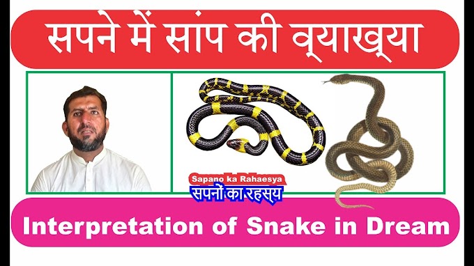 Interpretation of Snake in Dream || सपने में सांप देखने की व्याख्या  || ...