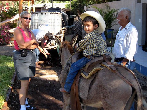 A boy, his grandfather, a donkey and an Admiral