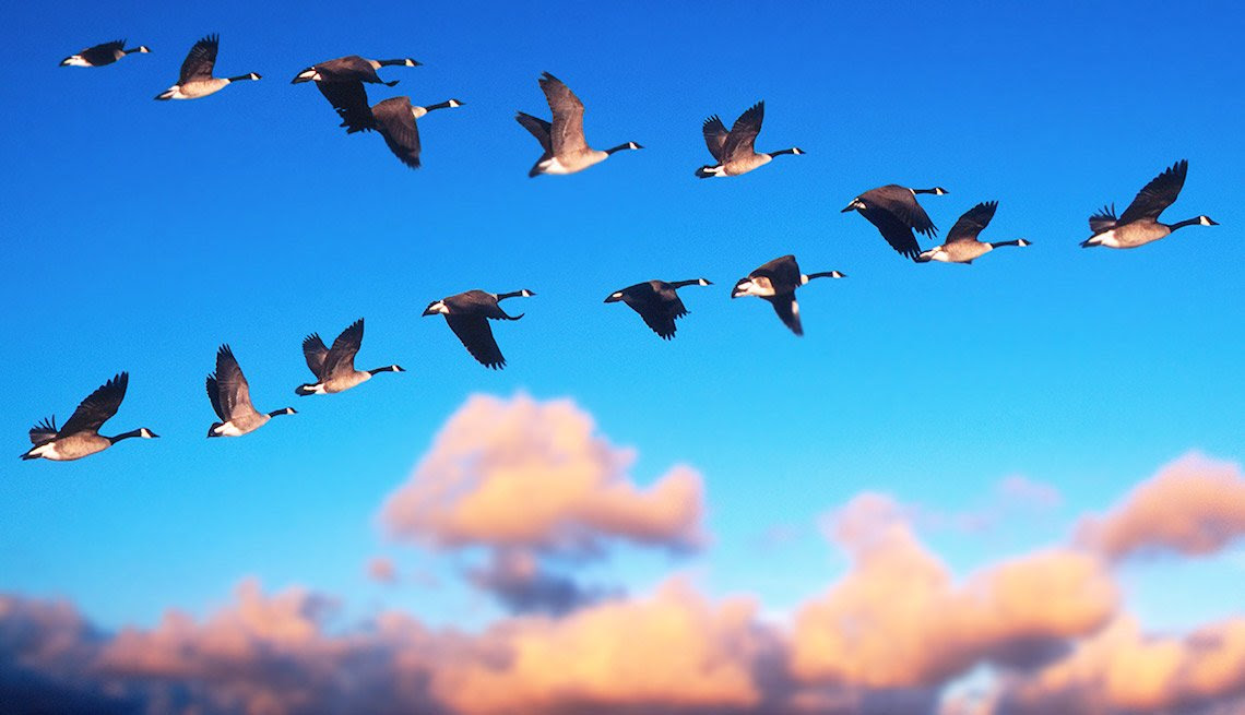 Find Part Time Jobs, Seasonal Jobs and Gainful Employment â AARP