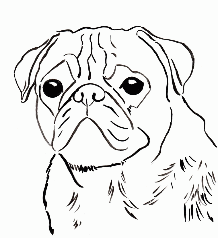 Download Free Printable Pug Coloring Pages, Download Free Clip Art, Free Clip Art on Clipart Library