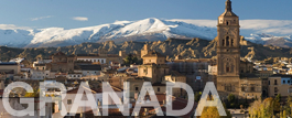 Carpintería y ebanistería en Granada