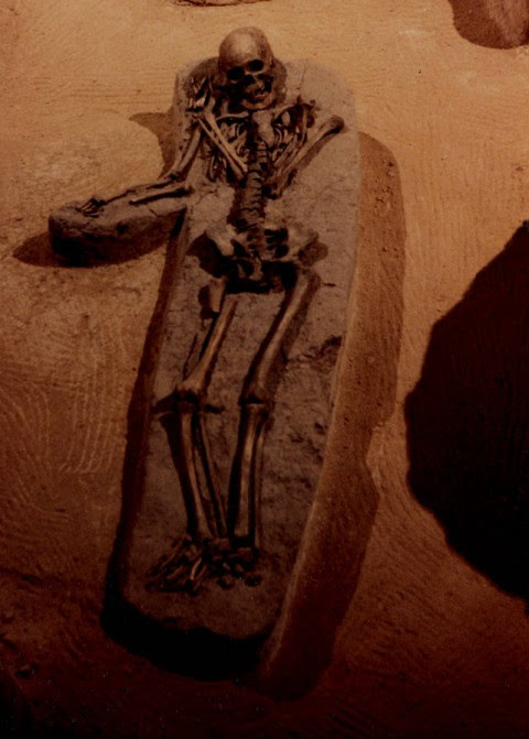 Un esqueleto fotografiado antes de ser enterrado nuevamente, en Moundville, Alabama, 1987. Este no era un «gigante».