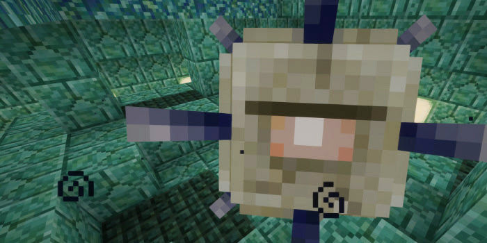 マインクラフト 海底神殿を攻略 最適な装備と水抜きの方法まとめ マイクラモール