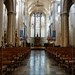 TONGEREN_BASILIEK_0021