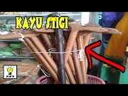 Populer 6 Kayu Paling Bertuah yang ada di Indonesia fakta unik, paling seru!