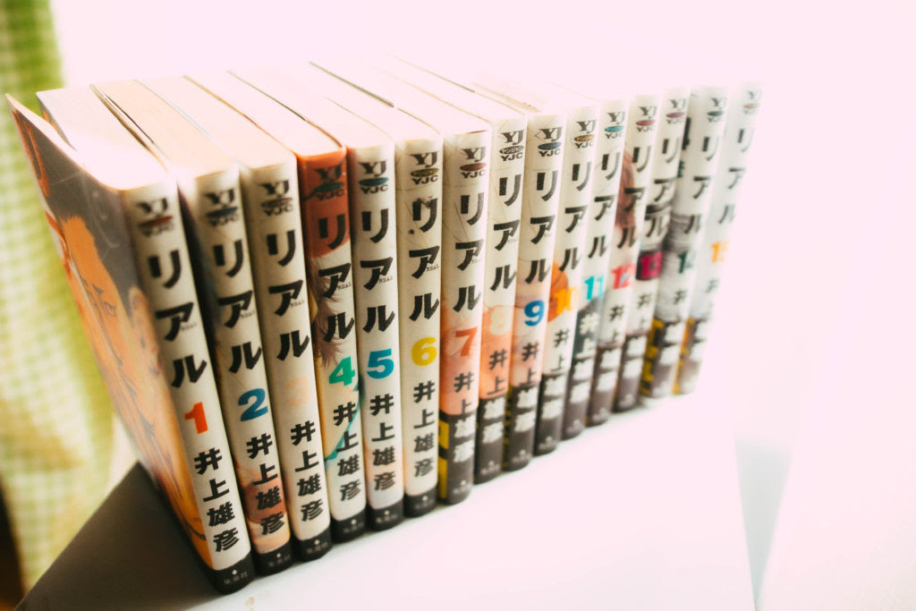 Manga Review Real Canvas Of Dreams