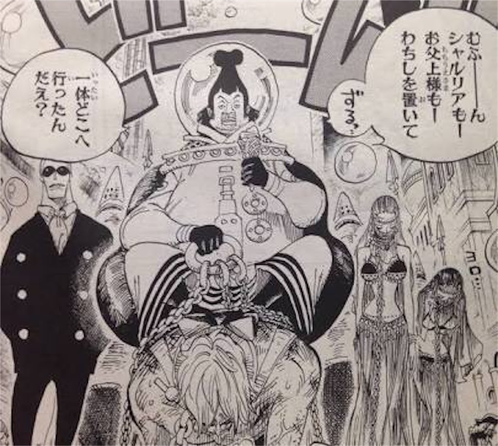 ワンピースと五老星と陰謀論とdの王国 Plus Ultra S Diary