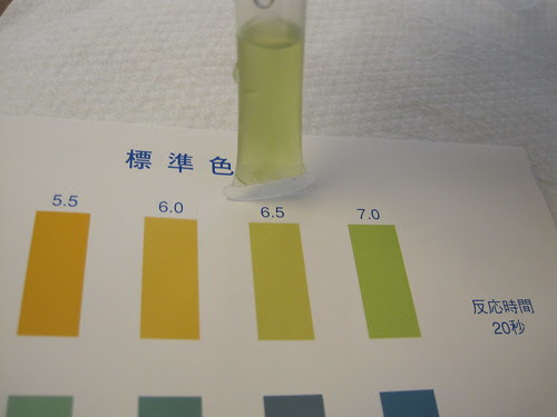 pH test for iron (Fe).