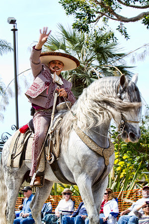 2012 Swallows' Day Parade, part of San Juan Capistrano's annual Fiesta de las Golondrinas (Festival of the Swallow) to celebrate the legend of the return of the swallows to the San Juan Capistrano Mission. The parade is the nation's largest non-motorized parade.