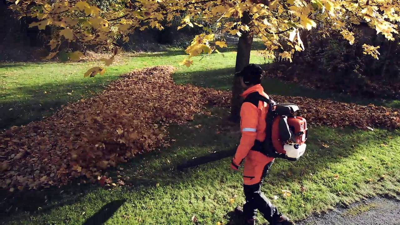 Souffleur de feuilles