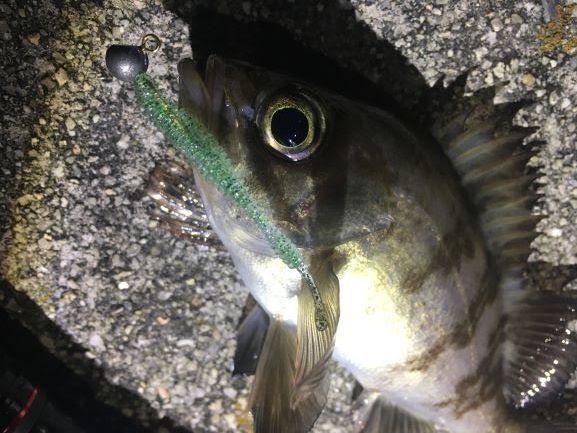 釣り人がカタカナ釣り用語を使いたがるのはなぜ 孤独のフィッシング