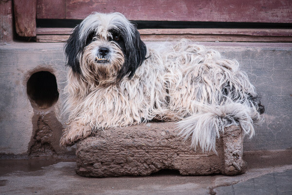 texture in composition