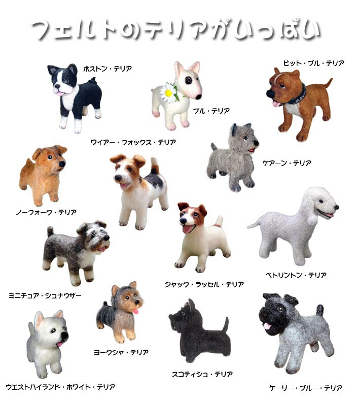 犬の分類 テリア Dog House 楽天ブログ