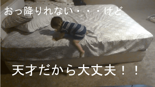 天才赤ちゃん 高いベッドから降りる賢い方法とは Bloom ブルーム 素敵な 暇つぶし