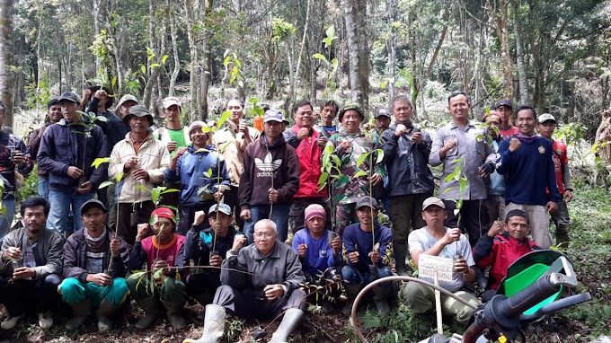 49+ Infografis Dampak Penebangan Hutan Secara Liar PNG