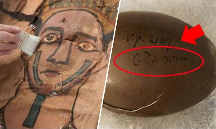 10 интереснейших музейных артефактов, о которых забыли, а потом снова нашли