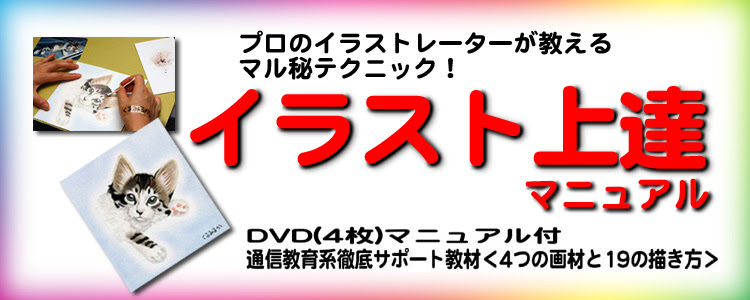 イラスト上達マニュアル ４枚組ｄｖｄ解説マニュアル付き 通信教育系徹底サポート教材