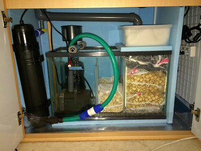 濾過槽自作 注水 アクアリウムを始めてみた