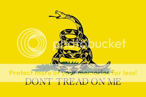 THE FLAG OF THE TEA PARTY