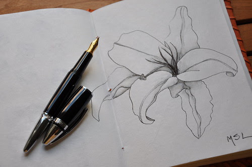 EDM Challenge #54 – Draw someone or something you love – and journal about it.