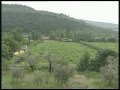 descrizione  della storia e dell'azienda agricola conati