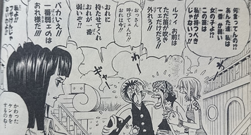 かわったケンカをするのね 名言集 ワンピース魂