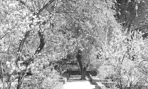 ¡Primavera!