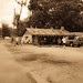 DSC_0187 (2)