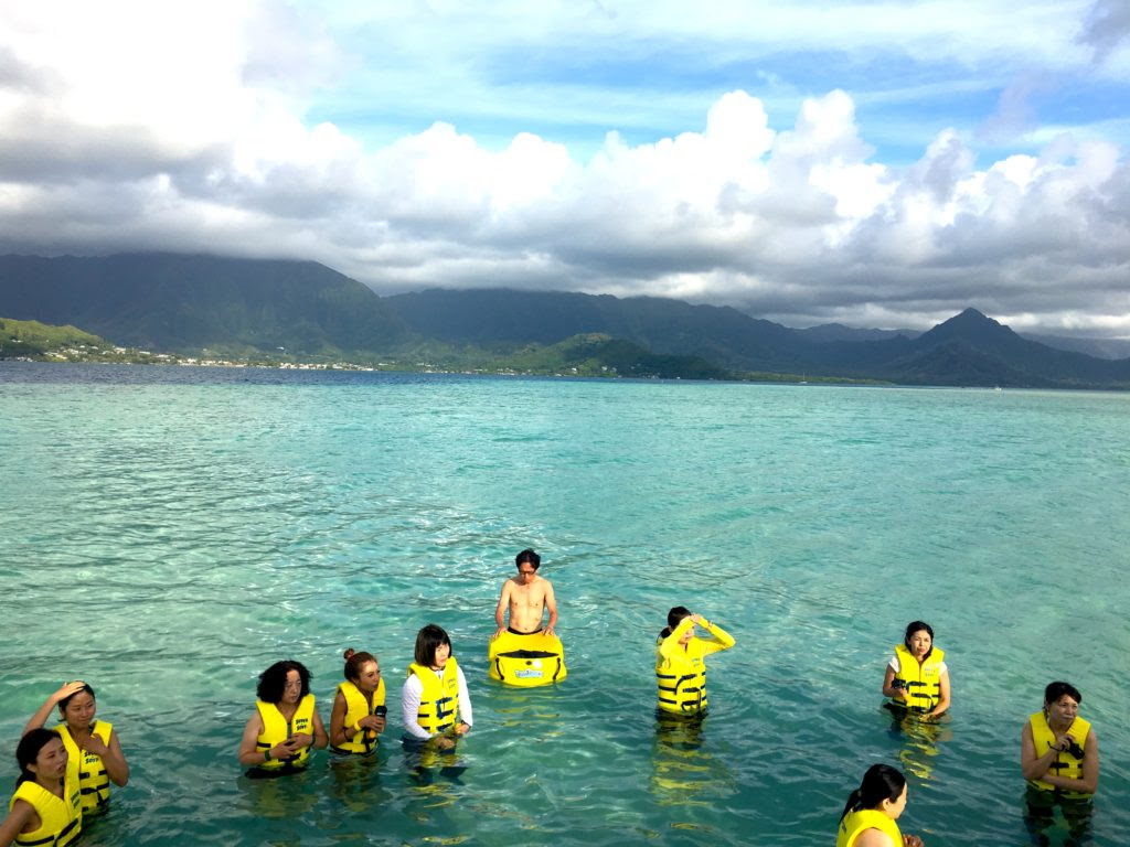 ふらっとハワイ あゆがpv撮影した 天国の海 カネオヘ湾サンドバーで 海ガメとシュノーケリング 毎日が夏休み 柴マユミ公式サイト