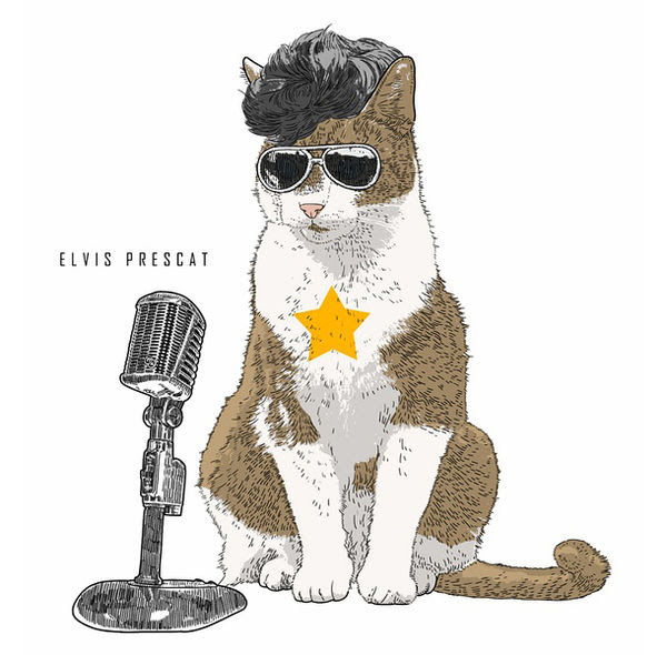 Funny Cat Drawings