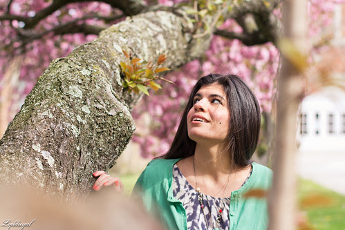 cherry blossoms-11.jpg