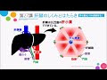 無料ダウンロード 臓器 働��� 理科 426208-臓器 働き 理��