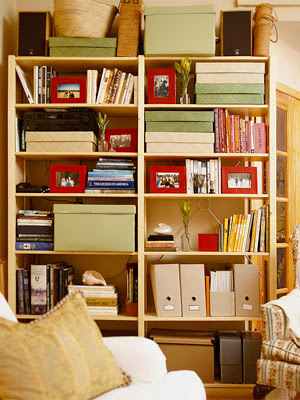 living room bookshelves