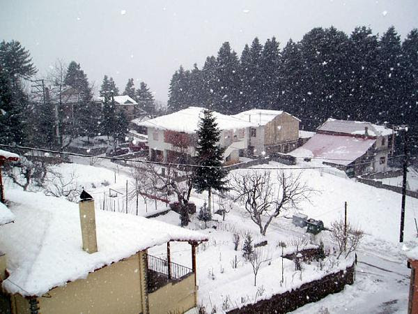 Holiday.gr - ΞΕΝΟΔΟΧΕΙΟ THEODOROU HOTEL ΕΛΑΤΗ