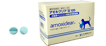 獣医医療開発株式会社 アモキクリア錠100